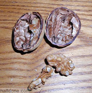 Walnut cut in half